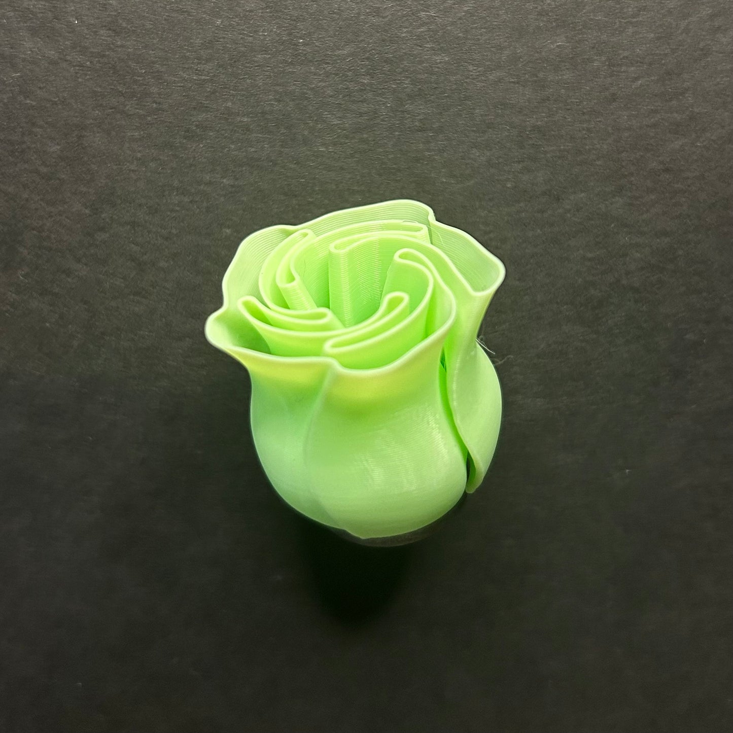 3D Rose Magnet