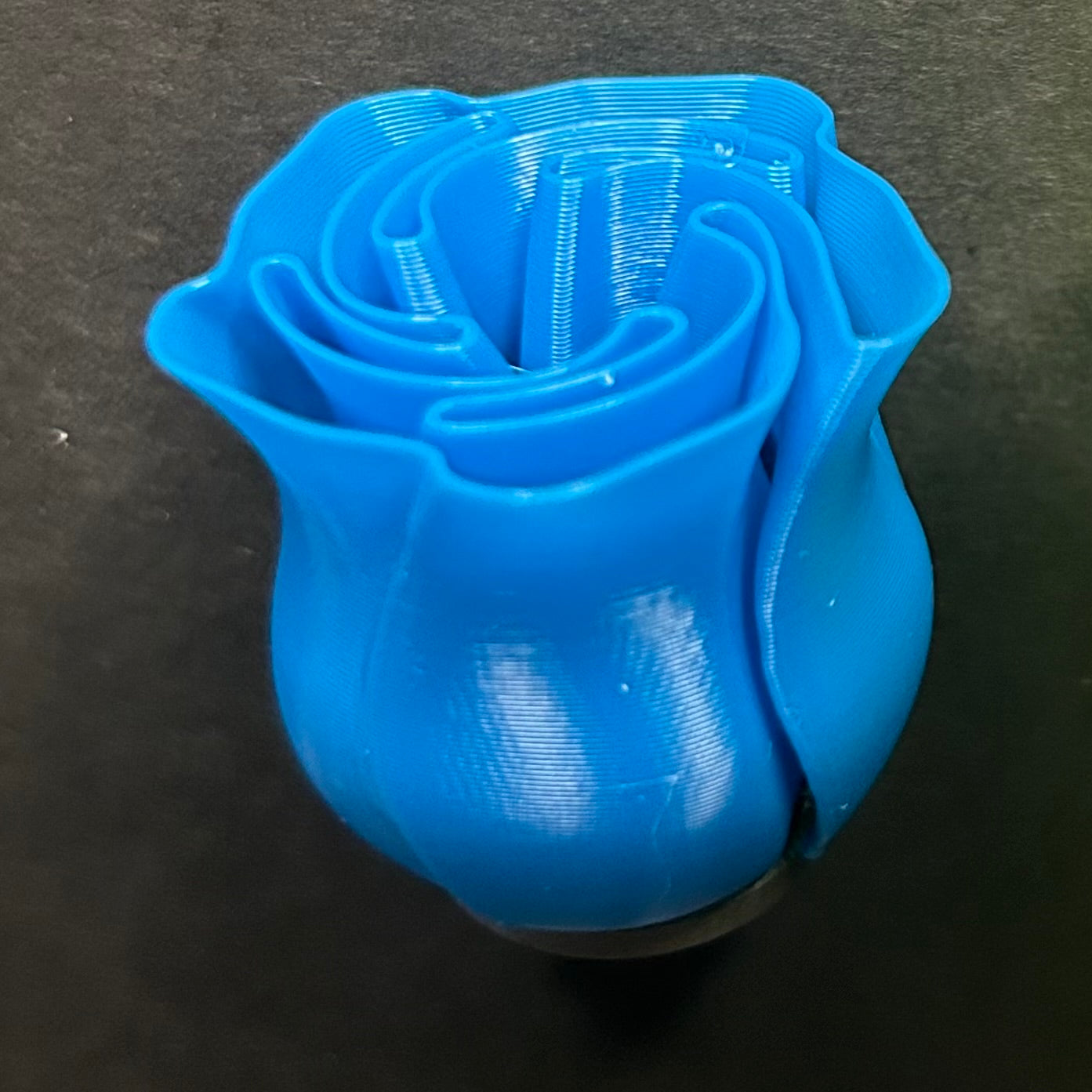 3D Rose Magnet