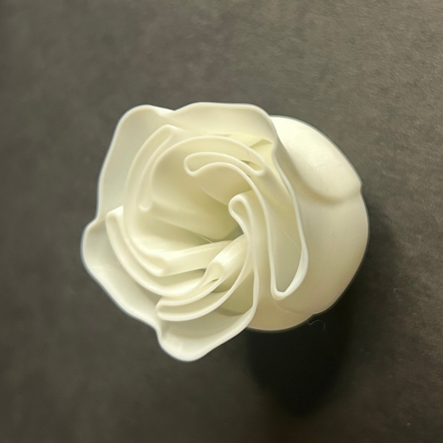 3D Rose Magnet